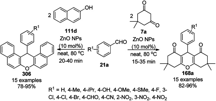 Scheme 203