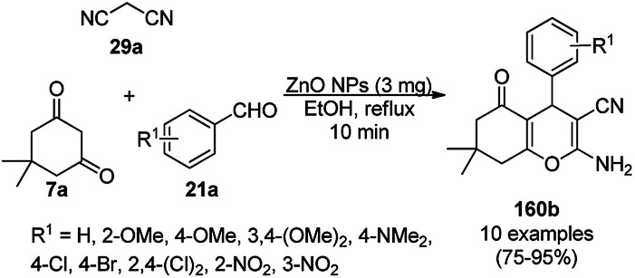 Scheme 204