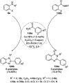 Scheme 53