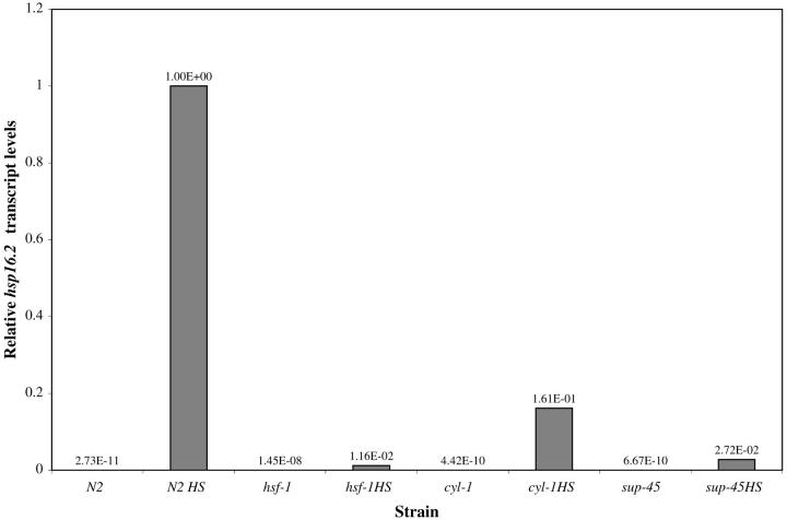 Figure 2.—