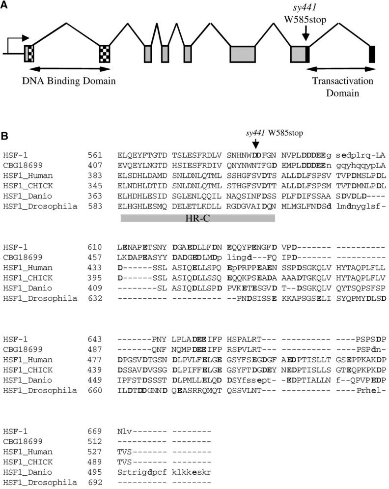 Figure 3.—