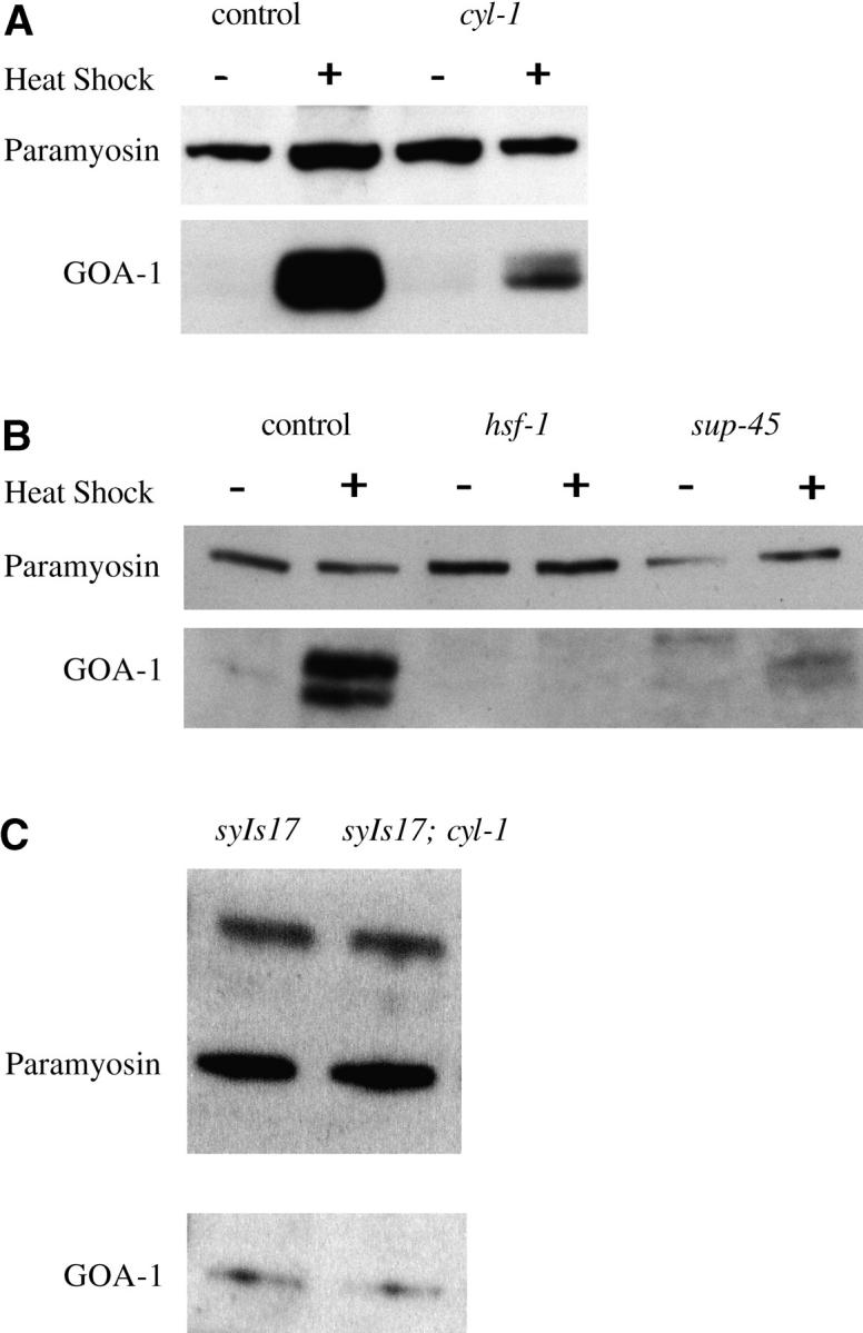 Figure 1.—