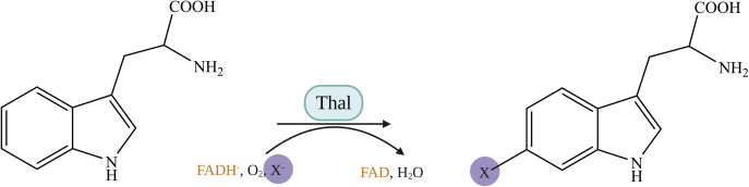 Figure 1