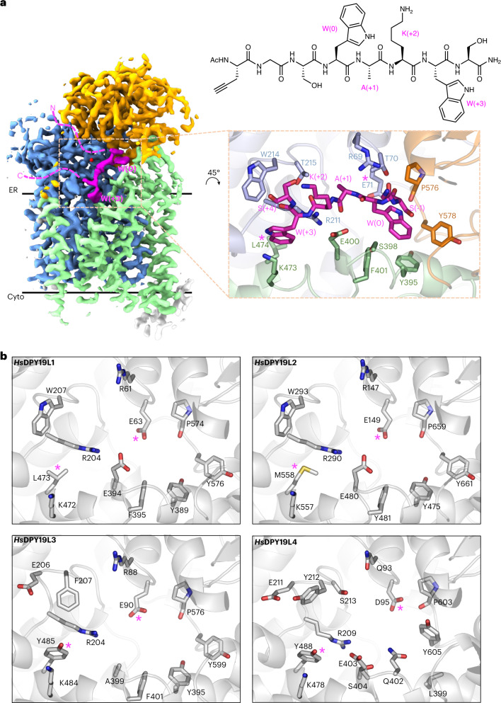 Fig. 3