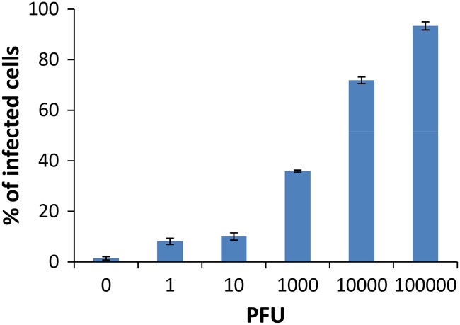 Fig 5