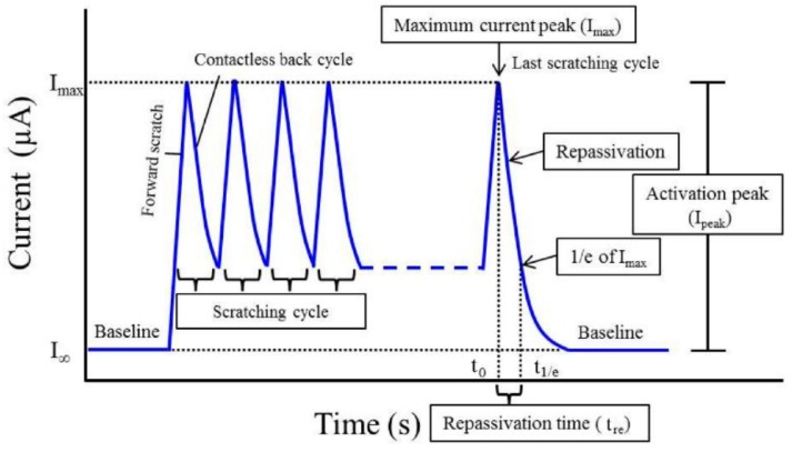 Figure 31