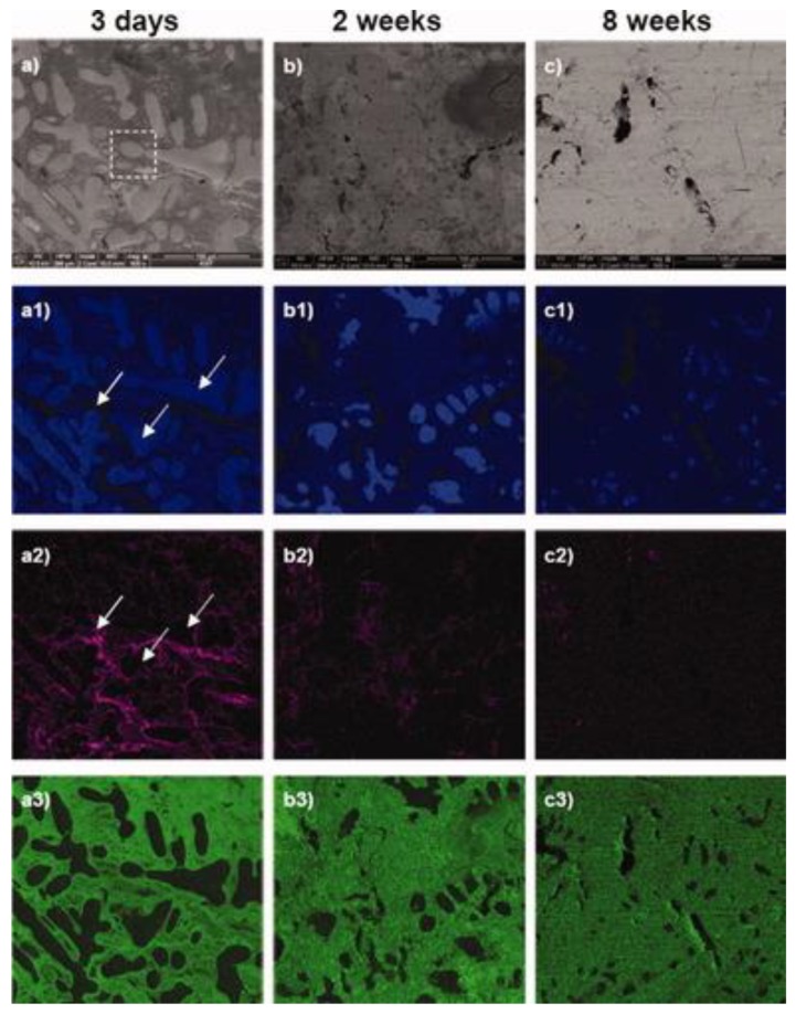 Figure 24