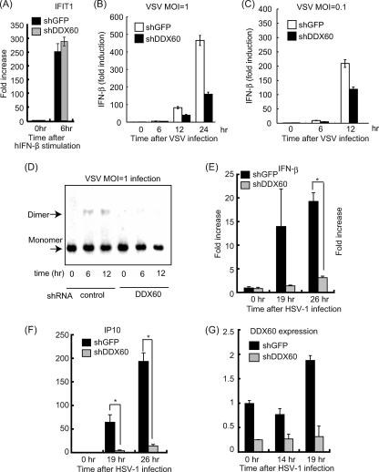 Fig. 12.