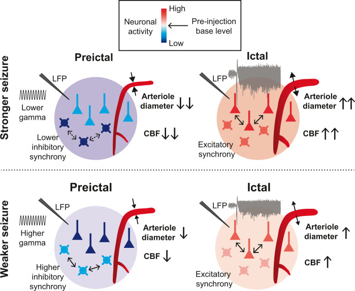 Figure 6.