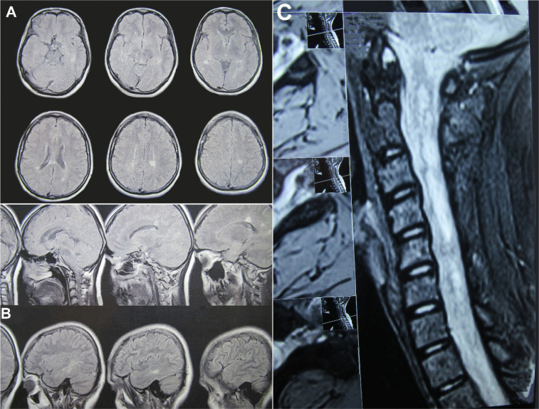 Figure 2