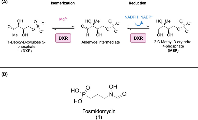 Figure 2.