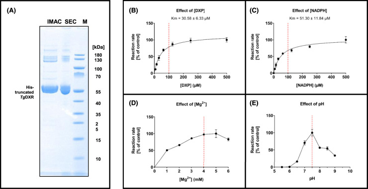 Figure 3.