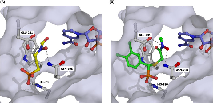 Figure 10.