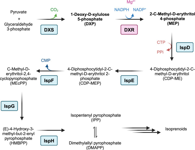 Figure 1.