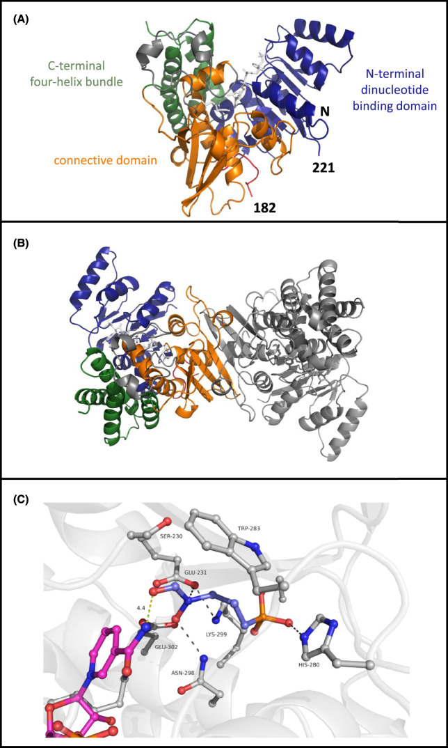 Figure 4.