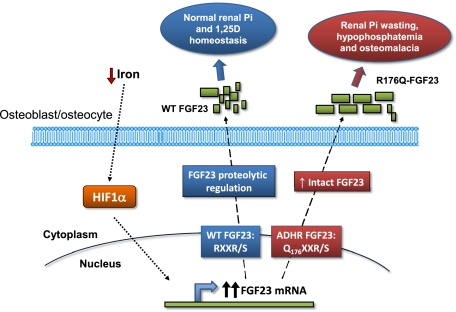 Fig. P1.