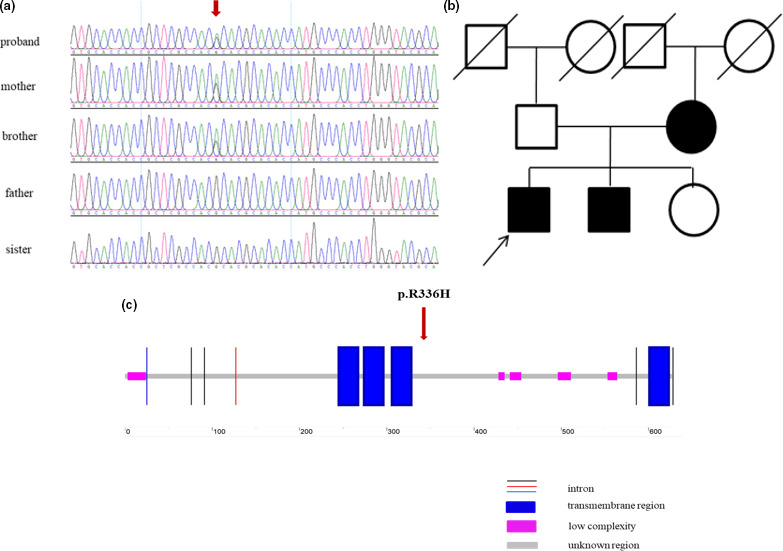 FIGURE 1