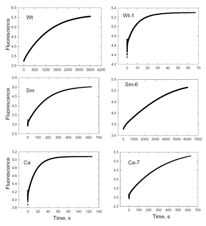 Fig. 10