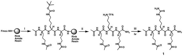 Scheme 1