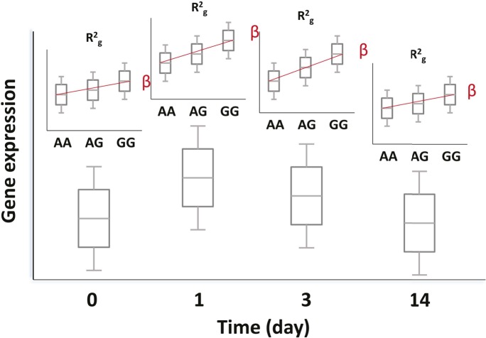 Figure 10.