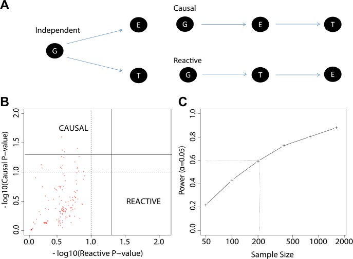 Figure 7.