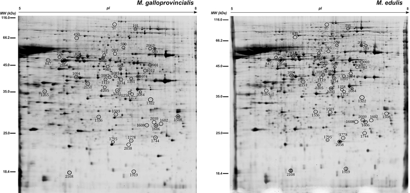 Figure 3: