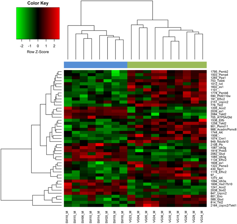 Figure 4: