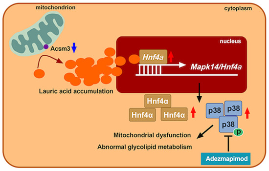graphic file with name 44318_2023_20_Figa_HTML.jpg