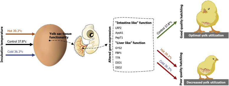 Figure 9