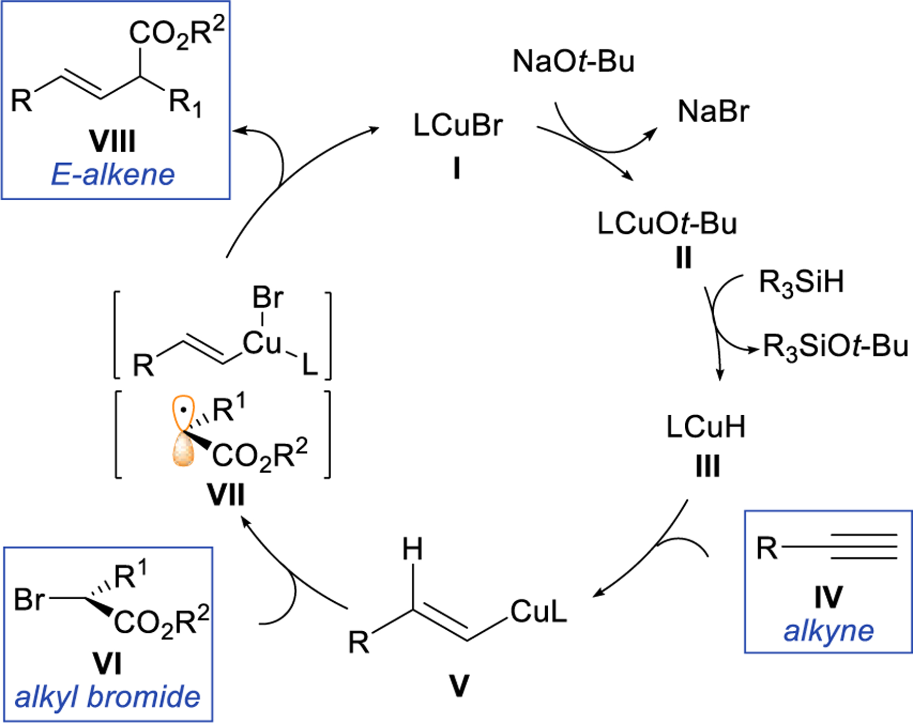 SCHEME 3.