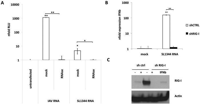 FIG 2 