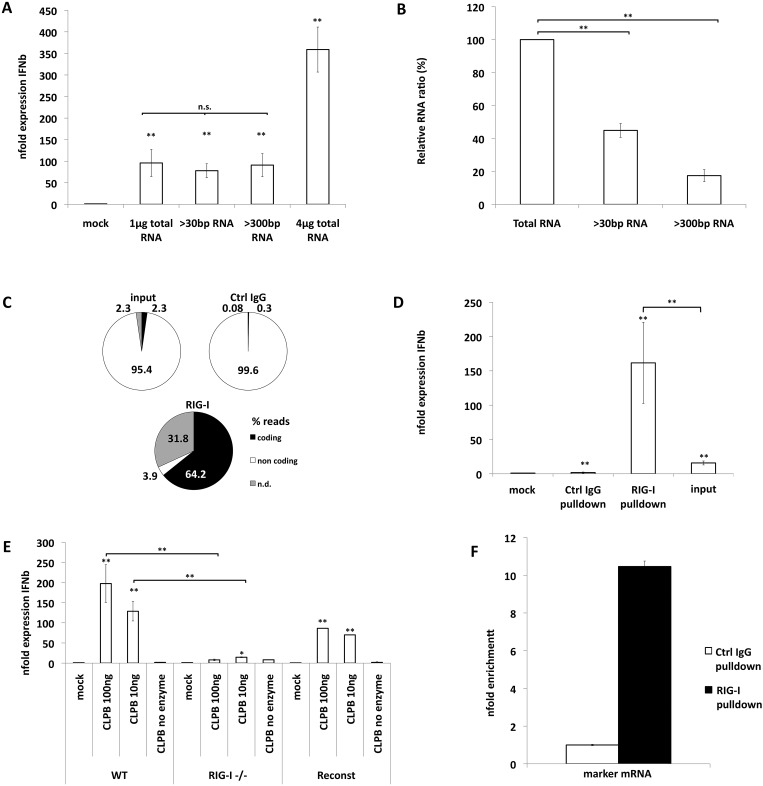 FIG 4 