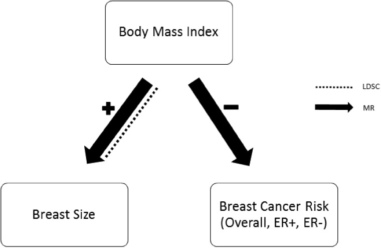 Figure 11.