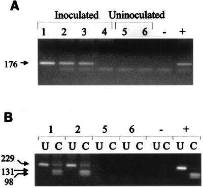 FIG. 5