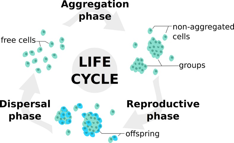 Figure 1.