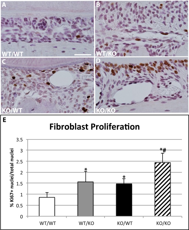 Fig 5