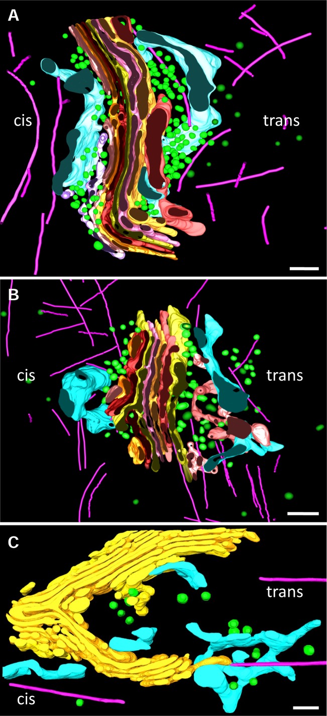 Fig 3