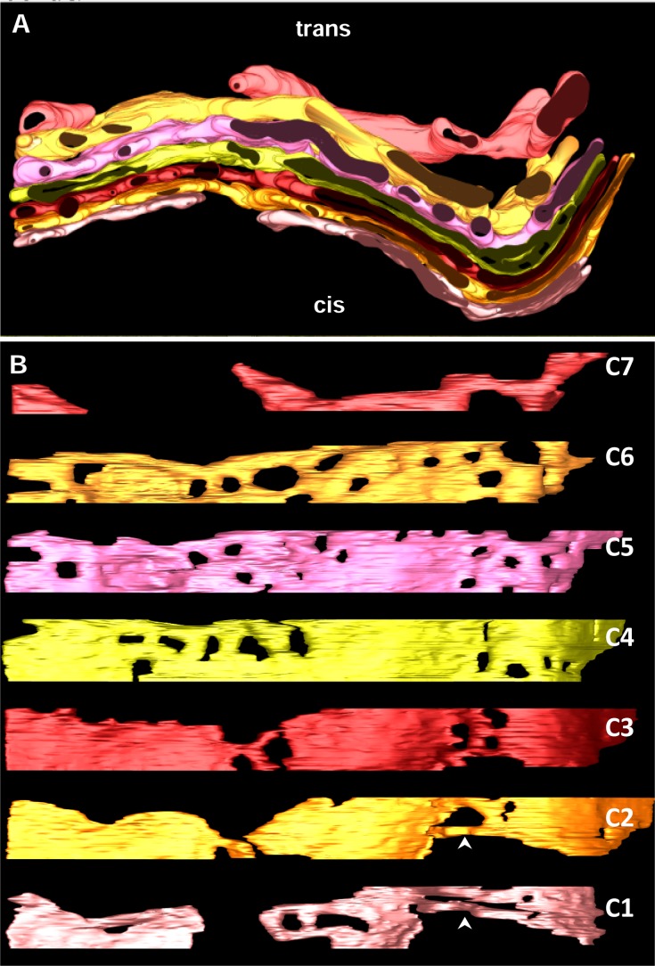 Fig 4