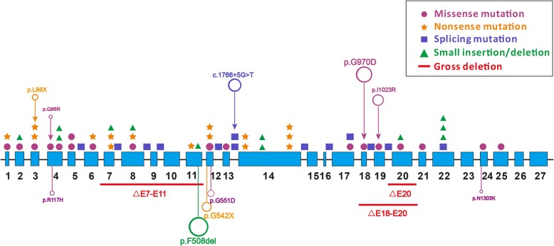 Fig. 3