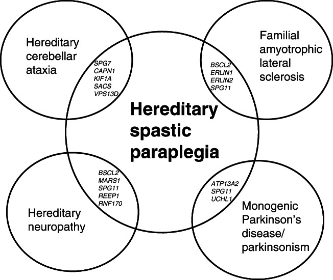 Challenges and Controversies in the Genetic Diagnosis of Hereditary ...