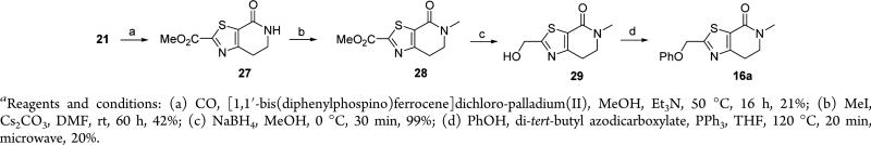 Scheme 5