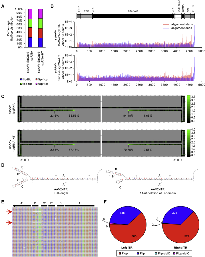 Figure 4