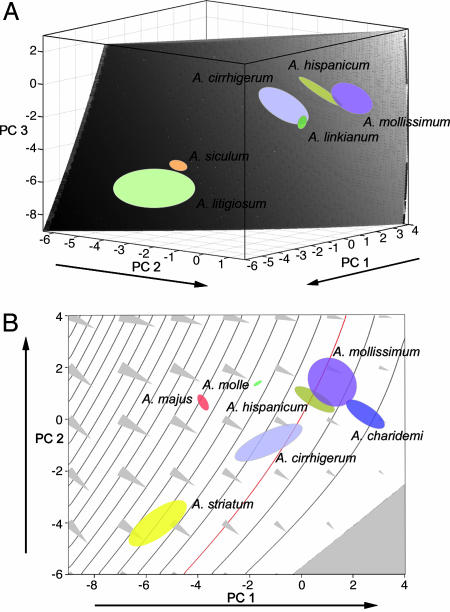 Fig. 6.