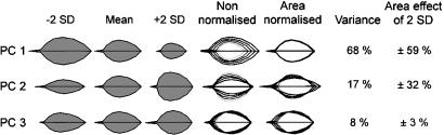 Fig. 3.