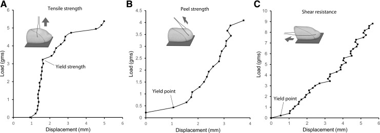 FIG. 2.