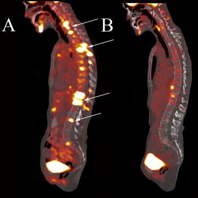 Fig. 3