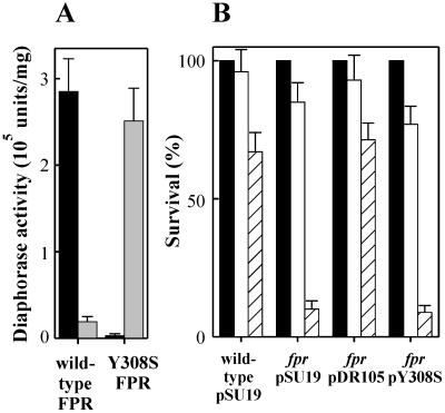 FIG.3.