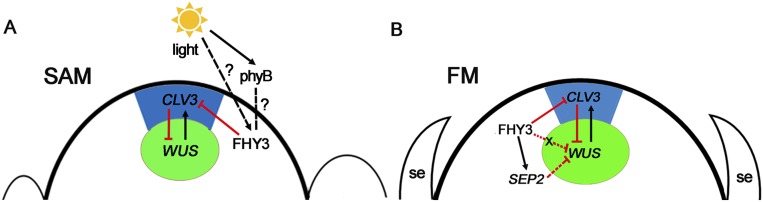 Fig. S6.