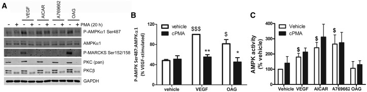 Figure 5.