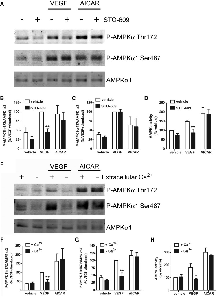 Figure 2.